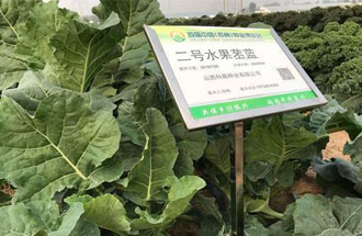 10月23日，中國(guó)（鄭州）種業(yè)博覽會(huì)將在河南省鄭州市中牟縣官渡鎮(zhèn)鄉(xiāng)謠農(nóng)場(chǎng)舉辦